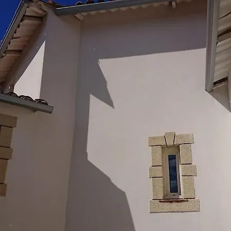 Flamants Rose Tatil Evi Marseillan (Herault)